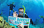 4 Day PADI Open Water Learn to Dive Course